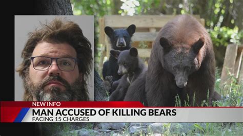 Colorado man accused of cutting heads and paws off poached bears